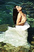  Trans Victoria Luxo  0041766140309 foto hot 1