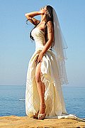  Trans Victoria Luxo  0041766140309 foto 37