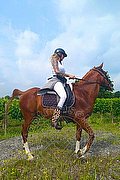 Treviso Trans Valeria 338 87 18 849 foto 75