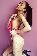 Milano Trans Escort Katrina Asiatica 393 50 20 179 foto 1