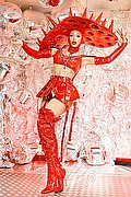 Ibiza Trans Nina La Divina  0034617911341 foto 40