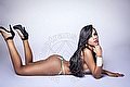 Milano Trans Leticia Sexy 392 08 16 569 foto 78