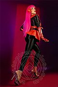 Milano Trans Leticia Sexy 392 08 16 569 foto 19