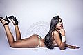 Milano Trans Escort Leticia Sexy 392 08 16 569 foto 84
