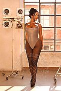 Rimini Trans Al�cia Lins 324 78 27 663 foto 35
