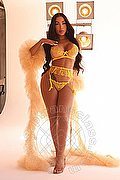 Rimini Trans Al�cia Lins 324 78 27 663 foto 6