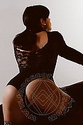 Verona - Bolzano - Pistoia - Ancona Escort Helene Castelli 333 95 61 638 foto 3321