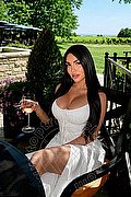 Marbella Trans Mishelli  0034671758058 foto 3