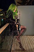 Forl� Trans Kika Doncato 393 73 17 905 foto 28