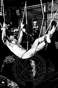  Mistress Madame Dafne 339 64 12 939 foto 621