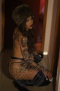 Bergamo Trans Escort Haycka Pornostar 393 11 91 544 foto 13