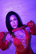 Padova Mistress Trans Padrona Sakura Asiatica 342 32 14 087 foto hot 1