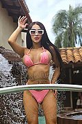 Roma Trans Pamelita 331 15 07 952 foto 53
