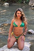 Bologna Trans Bellissima Miss Dea 345 43 08 919 foto 11