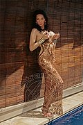 Legnano Trans Laviny Albuquerque Pornostar 389 00 19 370 foto 5