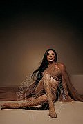 Fortaleza Trans Keylla Marques Pornostar Xxl 333 71 12 655 foto 16