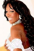 Belo Horizonte Trans Luana Vendramini  005531983477439 foto 17