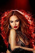 San Paolo Trans Escort Ale Ribeiro  005511957904316 foto 9