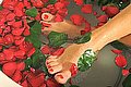 Pisa Escort Abigail 351 99 05 453 foto 9
