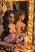  Trans Escort Kasy Sexy 351 03 03 795 foto 14