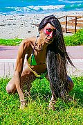 Padova Trans Tayn� Soares 349 13 88 172 foto 9