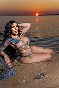 Amsterdam Trans Escort Lissandra  0031687631254 foto 4