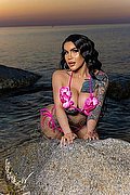 Amsterdam Trans Escort Lissandra  0031687631254 foto 3