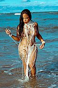 Chiavari Trans Bruna Cicarelly 351 78 94 745 foto 2