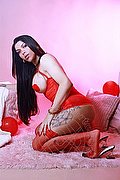 Torino Trans Escort Sophie Vergara 351 67 00 925 foto 9
