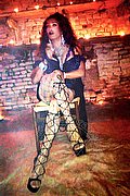 Pavia Mistress Trans Lady Paolina 333 29 10 933 foto 7