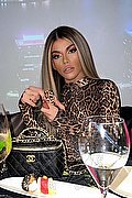 Milano Trans Escort Rafaella Menicucci Xxl 331 13 10 618 foto 152