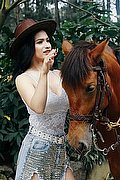 Pordenone Trans Escort Biancaladyboy 393 22 33 064 foto 7