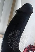 Milano Trans Virna La Super Dotata 349 43 93 969 foto hot 1