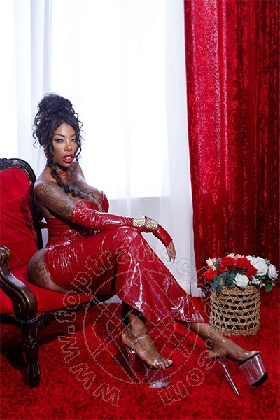 Campbell  ROMA 3509250726