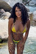 Sestri Levante Trans Beatrix 353 32 46 338 foto 4
