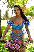 San Paolo Trans Kathy Barreto  005511980607601 foto 13