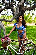 San Paolo Trans Escort Kathy Barreto  005511980607601 foto 16