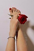 Alessandria Girls Angel Dark 347 55 35 212 foto 16