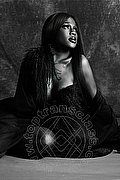 Roma Trans Nimat 351 99 05 819 foto 13