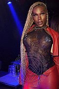 Roma Trans Nimat 351 99 05 819 foto 10