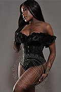 Roma Trans Nimat 351 99 05 819 foto 2