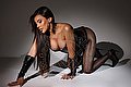 Parma Trans Hillana Maya 351 58 31 873 foto 27