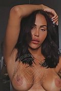 Somma Lombardo Trans Escort Nicolly Hilton 392 33 27 327 foto 22