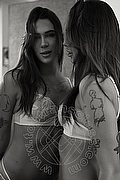 Milano Trans Nyx 329 53 71 331 foto 38