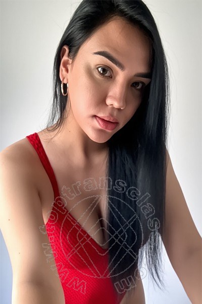Hellen  CREMONA 3717911706
