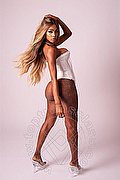 Torino Trans Penelope Latina 333 14 74 276 foto 15