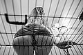 Verona Mistress Lady Giuliette 348 68 33 721 foto 16