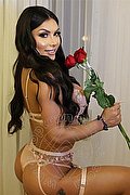 Verona Trans Gabriela Lemos 393 25 98 874 foto 5