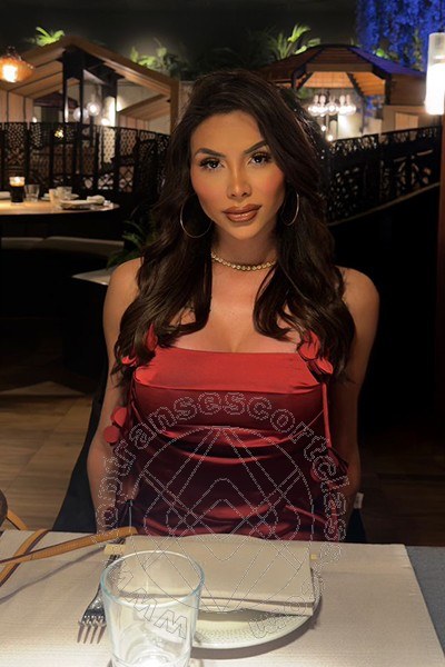 Gabriela Lemos  CUNEO 3932598874