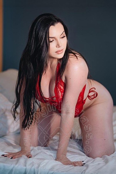 Morellya  MODENA 3384148193